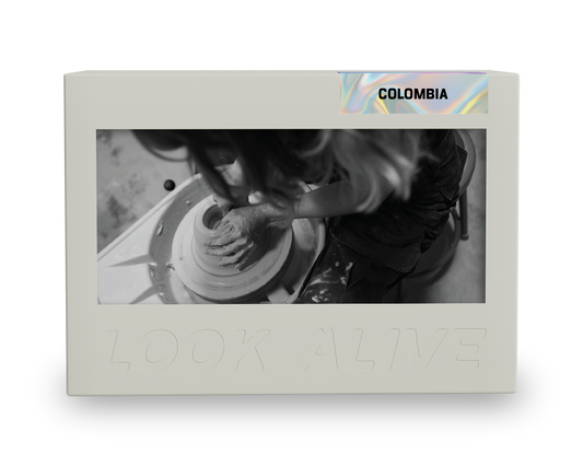 Elkin Guzman Honey Process 250g