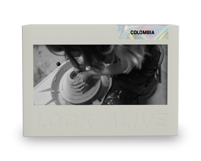 Elkin Guzman Honey Process 250g